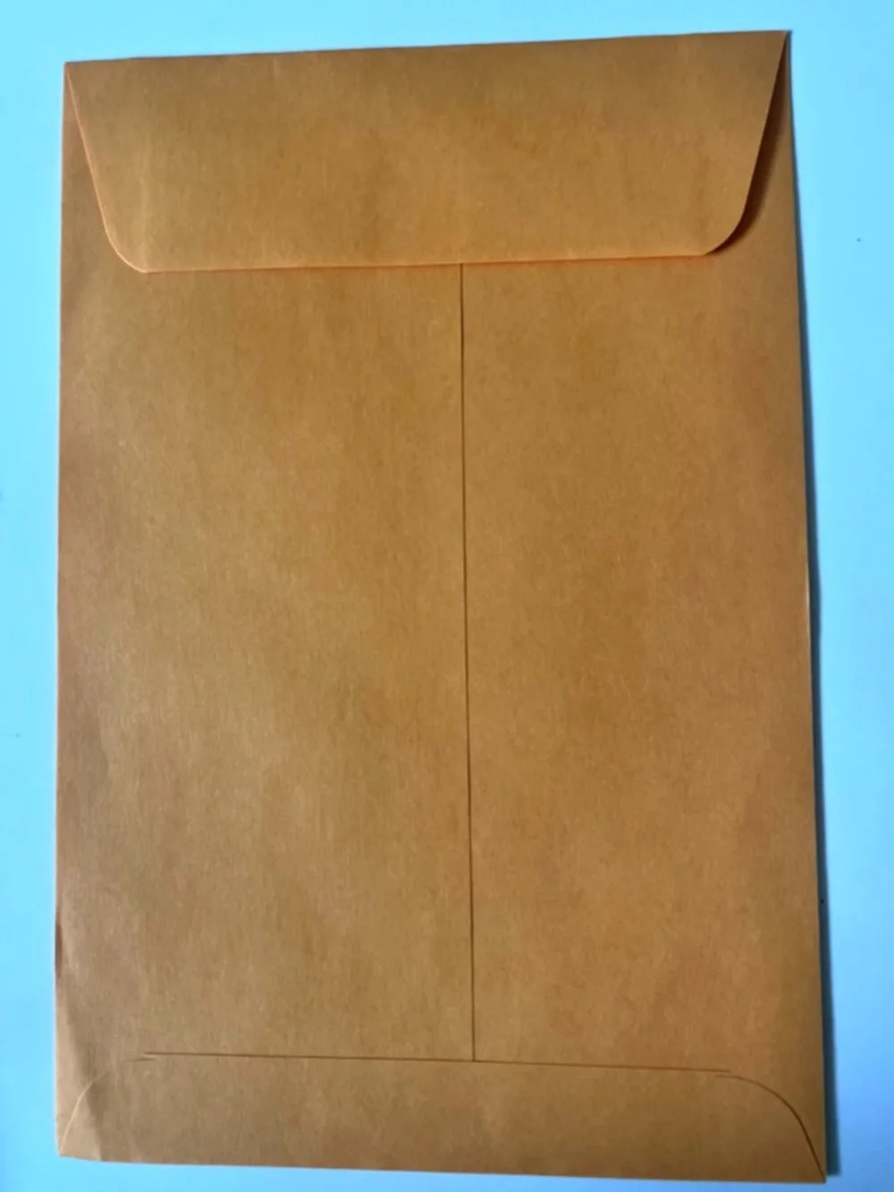Manilla Envelope 6x9 Moisten and Stick Mailing Safe Security Business 125pk